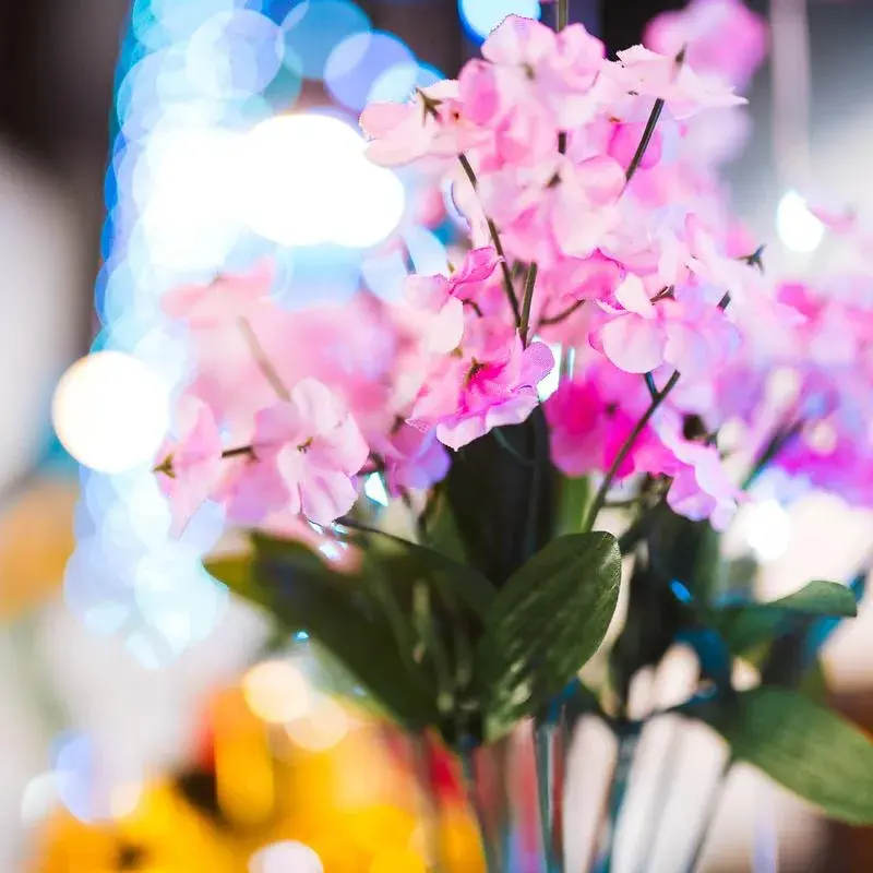 Pink flowers in a glass vase